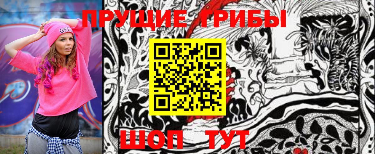 Псилоцибиновые грибы MAGIC MUSHROOMS  Вход с VPN  купить наркоту  Ейск 